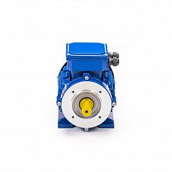 Эл.двигатель 5АИ 80 В4 FT100 1.5/1500 IM 2181