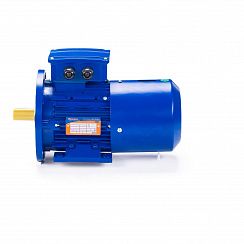 Эл.двигатель 5АИ 63 А4 ED 0.25/1500  IM 2081