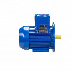 Электродвигатель АИМУ 100 L8 У1, 380В, 1ExdIIBT4 Gb, 1,5/750 IM2081